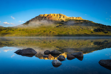 科普知识小故事100字(科学小故事100字科学科学)