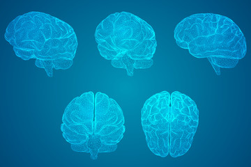 幼儿园中班安全个人工作计划