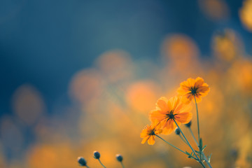 黄金荣是好人还是坏人