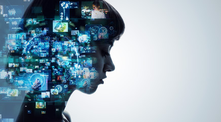 狗狗上狗牌是什么流程