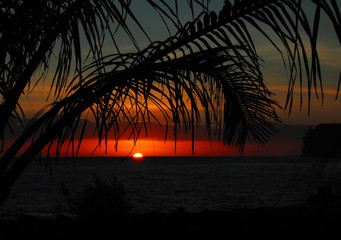 高士其的《灰尘的旅行》在哪找？