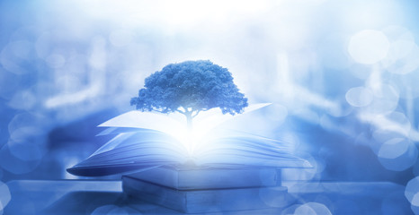 恐龙到底怎么灭绝