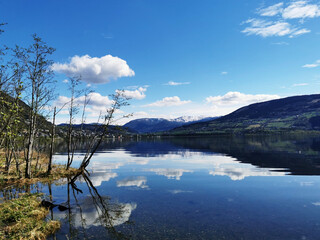 英语怎么才能快速记 背单词的方法