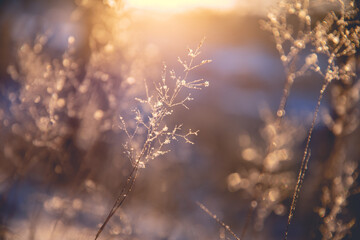 关于绿植的短句或诗句