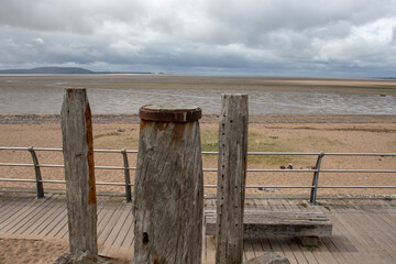 以动物为主题的三年级英语手抄报 三年级英语手抄报