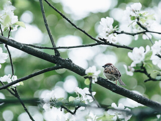 湖北省会城市叫什么？