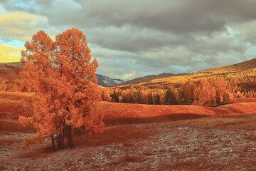 天文少儿科普知识