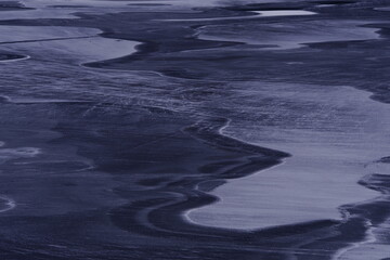 仿生学中飞鸟与飞机的关系
