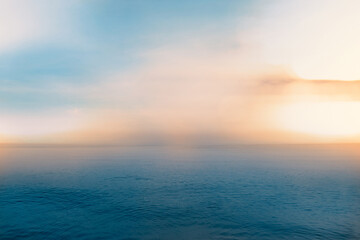 植物生长的科普短文300字