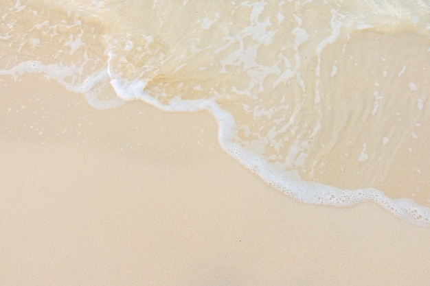 好记的职场花名女