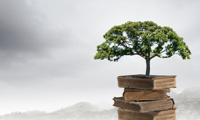 一休哥与小叶子是青梅竹马吧？