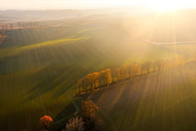 科学家是怎么评的？
