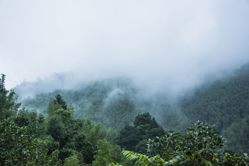 大学生适合读的英语原著